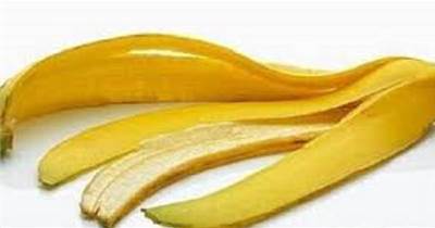 吃完香蕉皮不要扔，用來養花效果杠杠滴