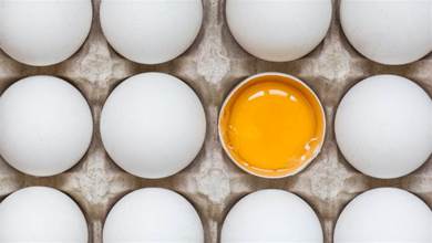 每天這3個時段吃蛋，半年狂降17公斤！營養師推「瘦體素養成法」，什麼都不做也能瘦